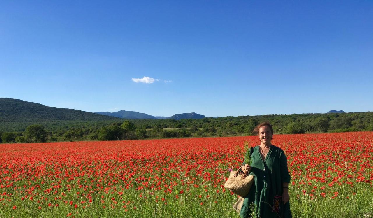 Les Asphodeles Bed & Breakfast Saint-Hippolyte-du-Fort Dış mekan fotoğraf