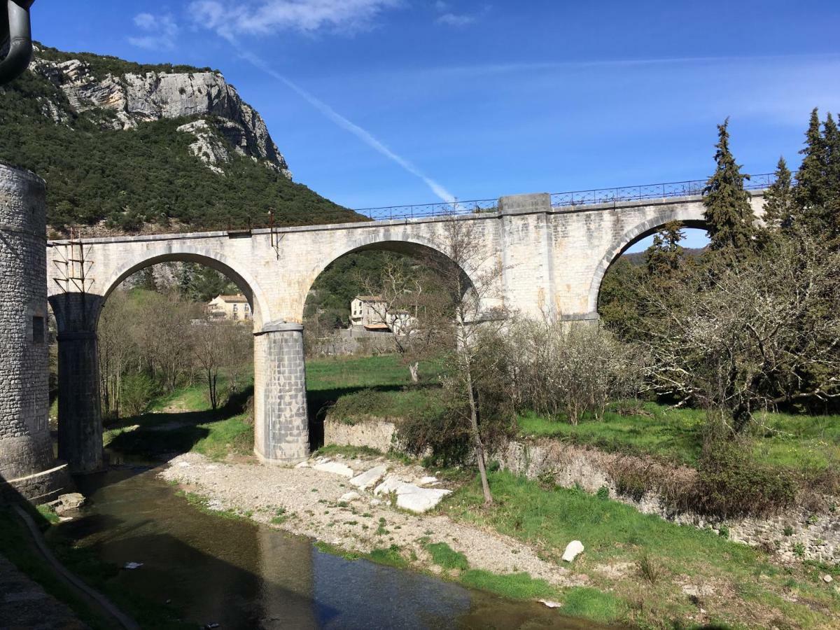 Les Asphodeles Bed & Breakfast Saint-Hippolyte-du-Fort Dış mekan fotoğraf