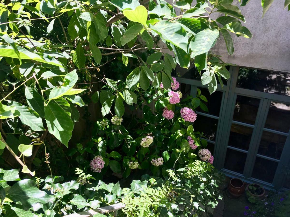 Les Asphodeles Bed & Breakfast Saint-Hippolyte-du-Fort Dış mekan fotoğraf
